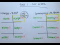 Mastering -CER & -GER Verbs in French