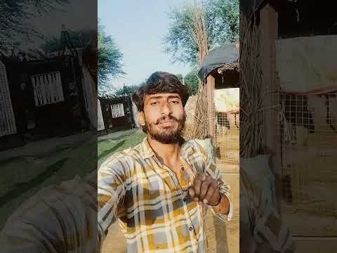 Tera jalva ##tarndeng video #shear video #viralreels #