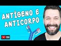 Imunologia: Anticorpos e Antígenos