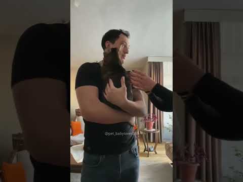 Funny Pets | 2024😂 Funny Dogs And Funny Cats Videos 🐱 🐕 😄 #102