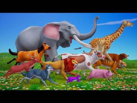 Planet Zoo Race: Big Animals vs Small Animals | Epic Racing Challenge | Funny Animal Adventures