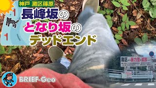 【BRIEF#88】長峰坂の となり坂の デッドエンド｜神戸 灘区篠原