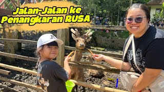 Jalan-Jalan ke Tahura Bandung ke tempat penangkaran rusa ⁉️