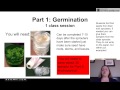 Hydroponics and Plant Growth Activities