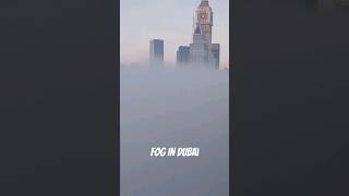 Fog In Dubai #fog #dubai #museaumofthefuture #bujhkhalifa