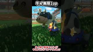 マリカー新作の「ウシ」が無限1upすると話題になっている #shorts #マリオカートワールド #マリカー