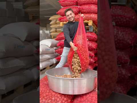 %100 YERLİ VE MİLLİ CEVİZLER GELDİ! 5 Kg Yerli Kabuklu Ceviz Yalnızca 1400 TL! Kargo da Ücretsiz!