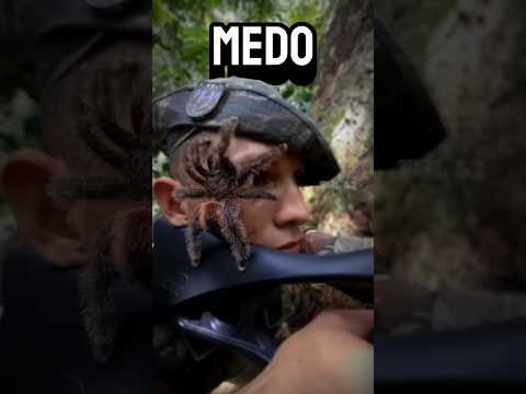 E SE ISSO ACONTECER?... O QUE VOCÊ FARIA? #curiosidades #gaming #androidgames #noticias #news #FPS