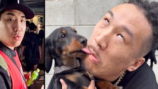 動画サムネイル