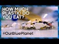 Microplastics in Marine Ecosystems