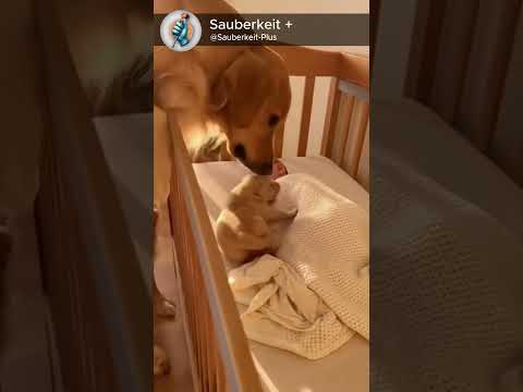 The purest kind of love 💛