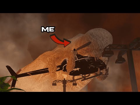 USING D-REX IN PRIMAL PURSUIT