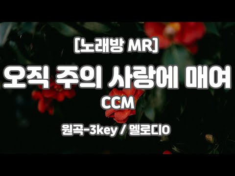 [DJ노래방/멜로디O] 오직 주의 사랑에 매여 MR (B 원곡-3key) / 하다지MR