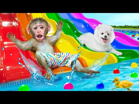 KiKi Monkey escape from Police Chase Adventure by Drive on Car in Maze challenge | KUDO ANIMAL KIKI