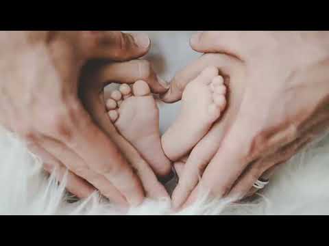 Kiếp Người - Một Hành Trình # Nhạc Hay Mỗi Ngày #