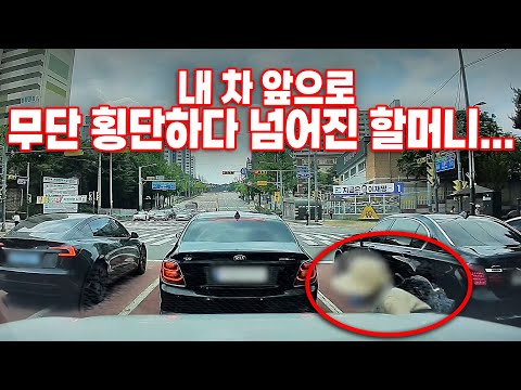 25405회. 무단 횡단하던 할머니가 펠리세이드 앞에서 넘어졌는데... 현재 할머니는 혼수상태라고 합니다..
