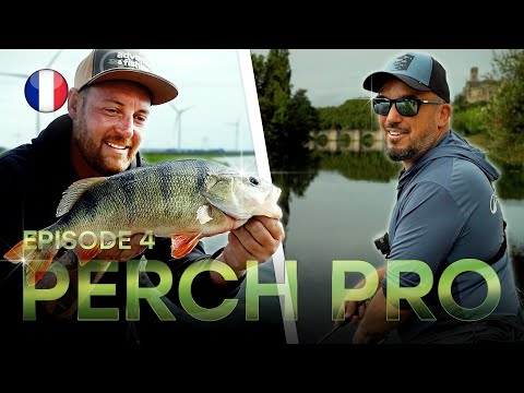 PERCH PRO 11 - Épisode 4 (version française)
