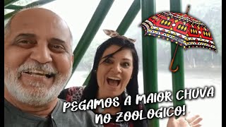 💕PEGAMOS MUITA CHUVA NO ZOOLÓGICO DE VOLTA REDONDA! #singapura #portugal #france