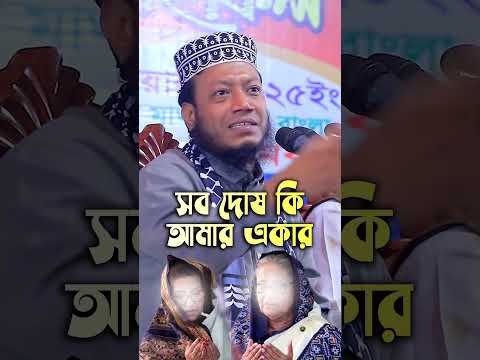 সব দোষ কি আমার একার