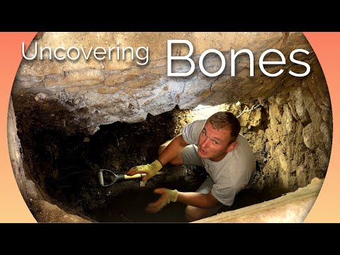 WE DISCOVERED BONES In ANOTHER TUNNEL!  The Forgotten Chateau HISTORY!