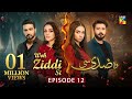 Woh Ziddi Si - Episode 12 - 19th October 2024 [ Aina Asif & Ali Abbas ] - HUM TV