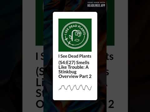 (S4:E27) Smells Like Trouble: A Stinkbug Overview Part 2 | I See Dead Plants