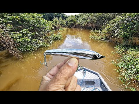 O LUGAR DOS PEIXES MONSTROS…Pescaria com  a galera de São Paulo no Rio Roosevelt