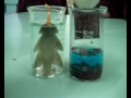 Copper-Zinc Reaction Observations