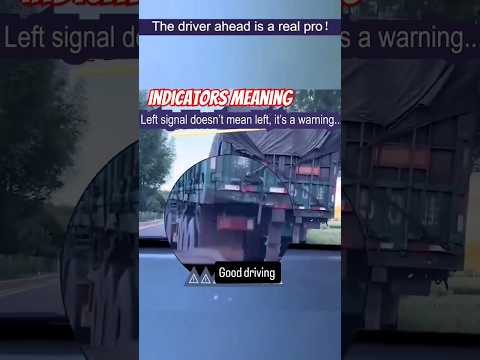 The good driver indicators meaning #viralvideo #suzukilovers #offroad #viralshort