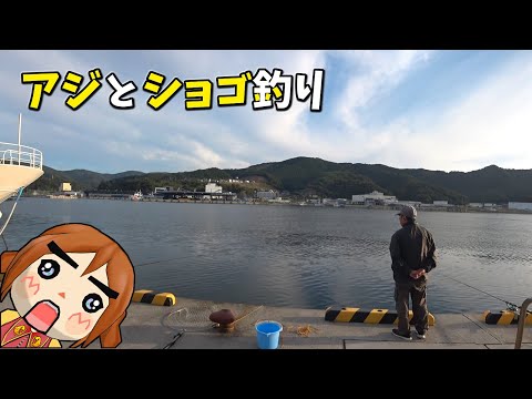 アジングとショゴ釣り
