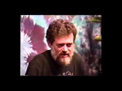The Shockwave of Eschatology (Terence McKenna)