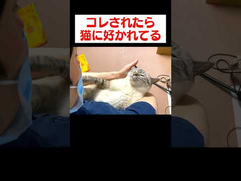 猫にコレされたら、間違いなく猫に好かれてます