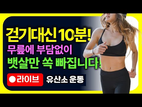 밖에서 걷기대신 10분 꼭 해보세요!🔥 무릎에 부담없이 뱃살 쏙 빠집니다!