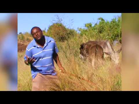 Vhakololo - Ipfi langa