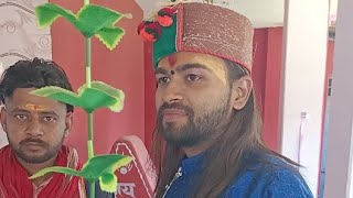 Live Yatra🔴 :- कलश यात्रा निकाली गई ग्राम केदारावाला में 🙏