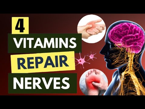 4 Powerful Vitamins to Heal Your Nervous System