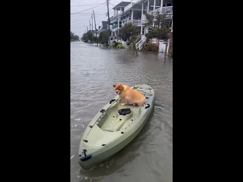Motorboats, surfboards and kayaks come out after nor'easter
