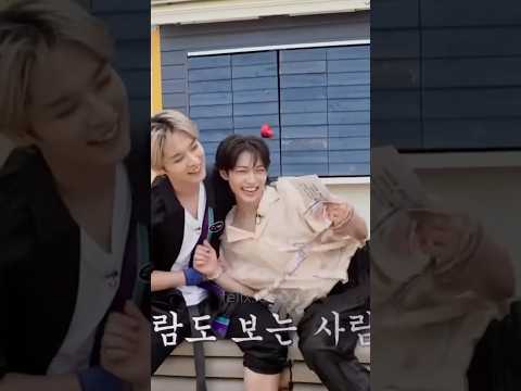 Minlix, FAVOURITE KITTENS😺🐱❤️#leeknow #felix #minlix #straykids #skz #skzedit #shorts #viral