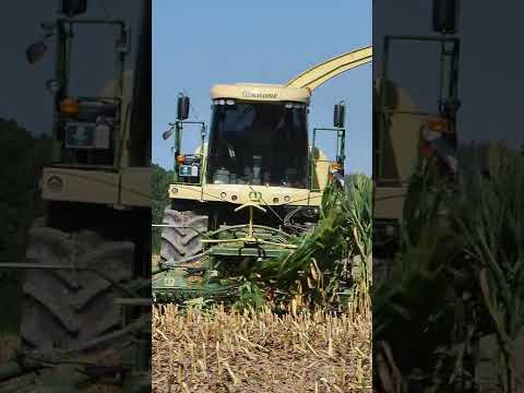 #Shorts Krone Big-X Chopping Corn Picture
