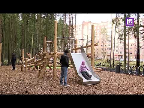 iZ ЖИЗНИ - СТАРТУЙ