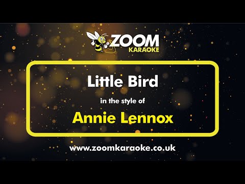 Annie Lennox – Little Bird – Karaoke Version from Zoom Karaoke