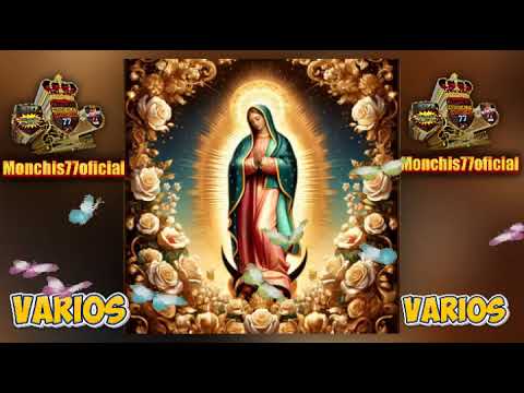 🌹canciones 🌹para la virgen de Guadalupe🌹varios