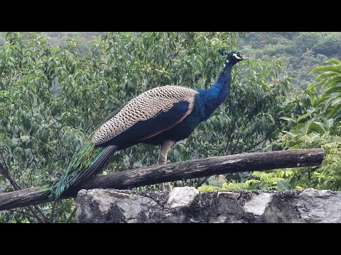 Welcome in my 354th support Live Strem || Connect 🔄 India🇮🇳 Connect 🔄 Globally 🌍