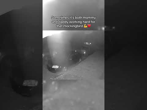 Week in and week out, we do what we have to ❤️ #parenting #family