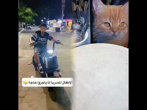طلع حرامي فالآخر؟!😡🤦🏻♂️ #عبدالرحمن_الدسوقي