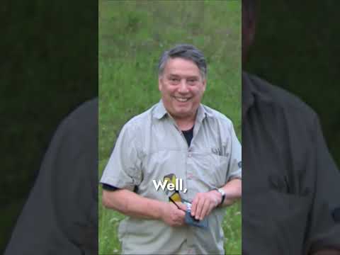 Motorway Cops' Strangest Speeding Stop