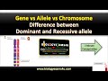 Genetics: Alleles and Chromosomes