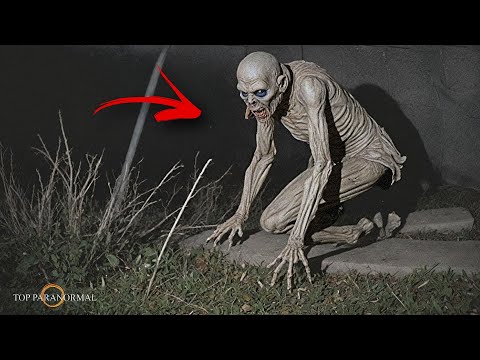 5 Encuentros Más Aterradores Captados en Cámara Parte 10 / Fantasmas y Criaturas / TERROR REAL 2025