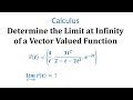 Understanding Limits of Vector-Valued Functions