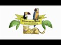 Amazon Biome Characteristics and Conservation